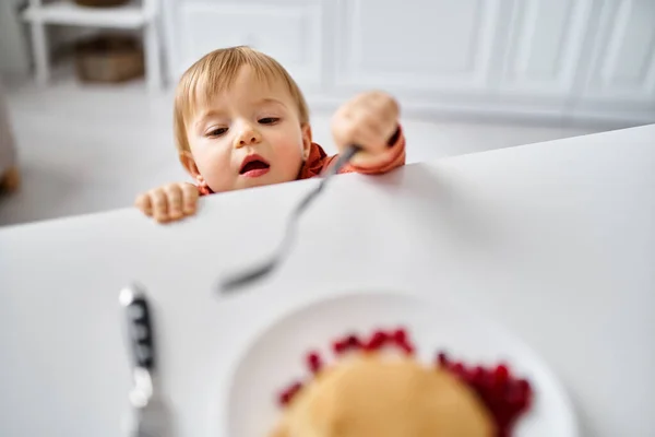 Хорошенькая маленькая девочка в удобном оранжевом свитере пытается дотянуться до завтрака на столе — стоковое фото