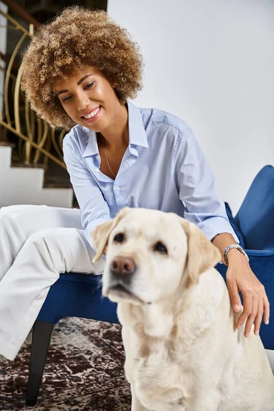 Glückliche Afroamerikanerin mit lockigem Haar sitzt und kuschelt Labrador in haustierfreundlichem Hotel — Stockfoto