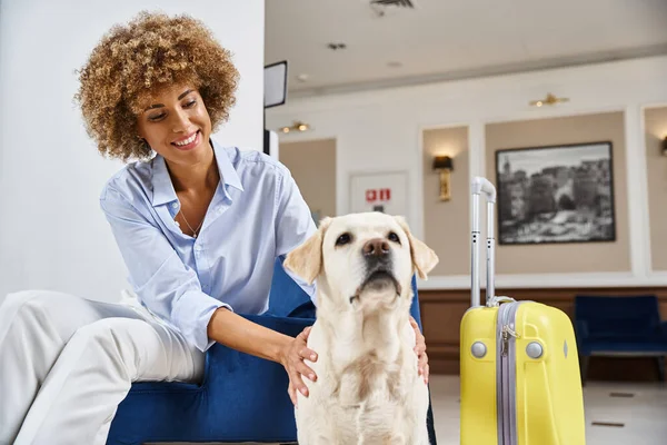 Joyeuse femme afro-américaine avec des cheveux bouclés assis et câlins labrador dans un hôtel acceptant les animaux — Photo de stock