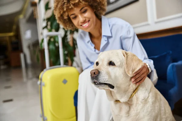 Viajero feliz esperando el check-in con Labrador en hotel que acepta mascotas, mujer negra con perro - foto de stock