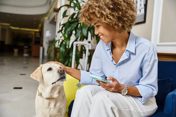 Turista con teléfono abrazo perro en un hotel que acepta mascotas, labrador y feliz afroamericana mujer - foto de stock