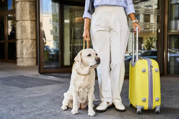 Mulher afro-americana cropped com labrador e mala amarela de pé fora do hotel pet-friendly — Fotografia de Stock