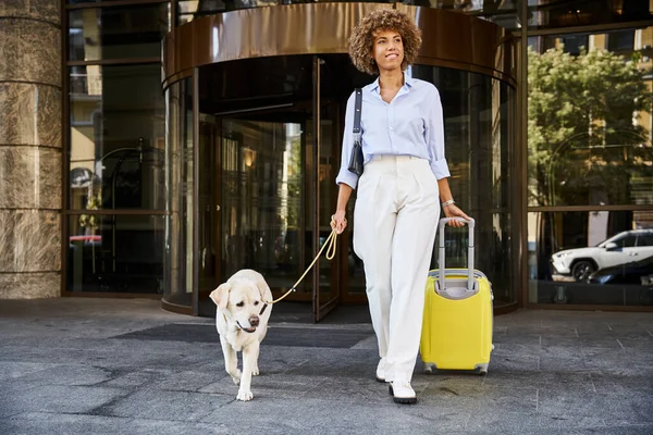 Mujer afroamericana de pelo rizado con su perro y equipaje caminando fuera del hotel que acepta mascotas - foto de stock