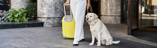 Bandiera ritagliata di donna con cane e bagagli in piedi vicino all'ingresso dell'hotel pet friendly — Foto stock