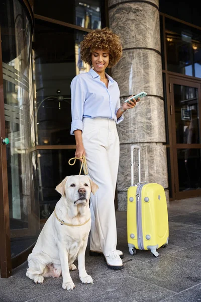 Задоволена жінка афроамериканський мандрівник, використовуючи смартфон біля собаки на вході в готель, дружній до домашніх тварин — стокове фото