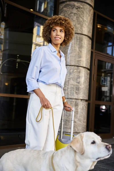 Задоволена афроамериканська жінка з собакою і багажем стоїть біля входу в готель, дружній до домашніх тварин — стокове фото