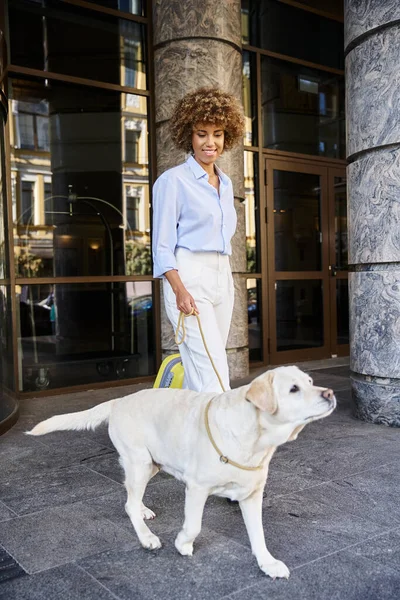Heureuse femme afro-américaine avec labrador debout près de l'entrée de l'hôtel acceptant les animaux de compagnie — Photo de stock