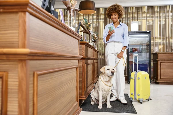 Viajero afroamericano feliz usando el teléfono inteligente cerca del perro en la recepción del hotel que acepta mascotas - foto de stock