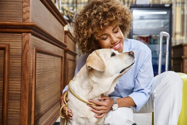 Pleased african american woman cuddling labrador near suitcase in lobby of pet-friendly hotel — Stock Photo