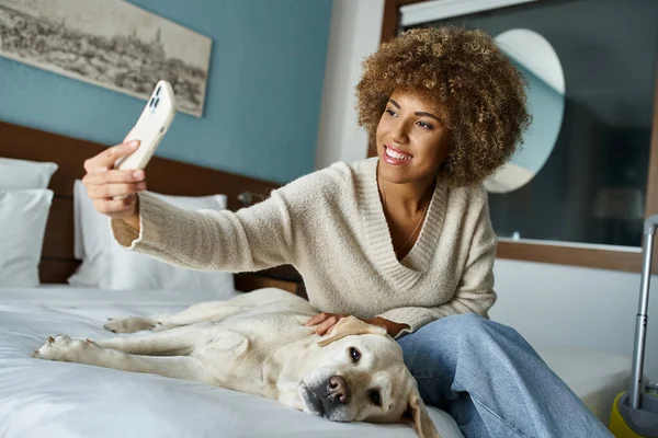 Щаслива афроамериканська жінка бере селфі з лабрадором на ліжку в готельному номері для домашніх тварин — стокове фото