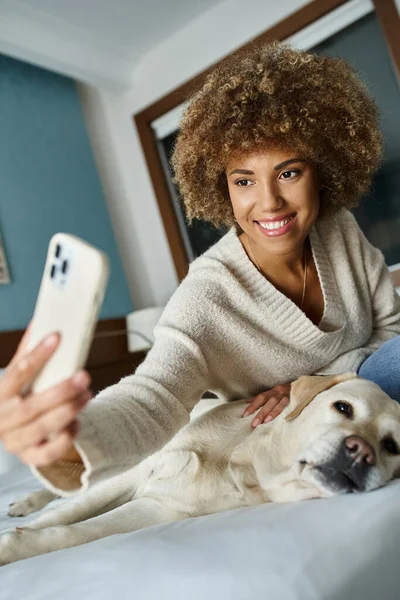 Cheerful african american woman taking selfie with labrador on a bed in a pet-friendly hotel room — Stock Photo