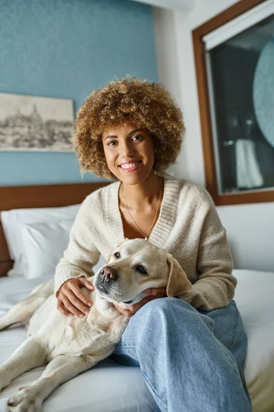 Giovane e allegra donna afroamericana coccole labrador su un letto in una camera d'albergo pet-friendly — Foto stock