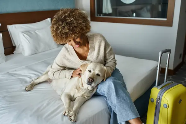 Young and smiling african american woman cuddling labrador near luggage in pet-friendly hotel room — Stock Photo