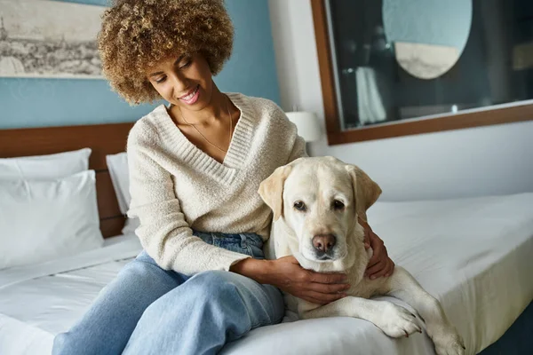Frisé heureux afro-américaine femme souriant tout en câlinant labrador dans la chambre d'hôtel acceptant les animaux domestiques — Photo de stock