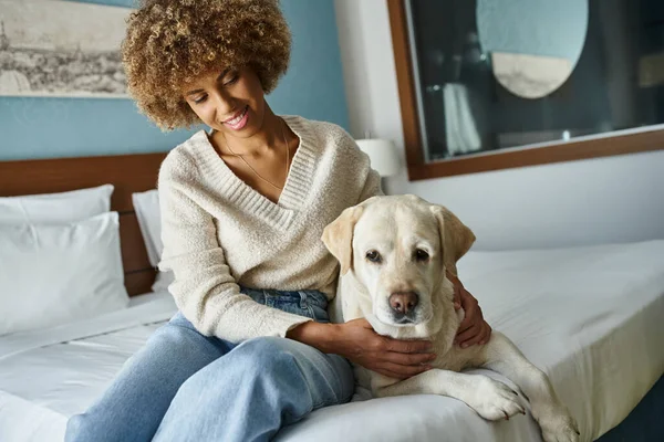 Encaracolado feliz afro-americano mulher sorrindo enquanto abraçando labrador em pet-friendly quarto de hotel — Fotografia de Stock