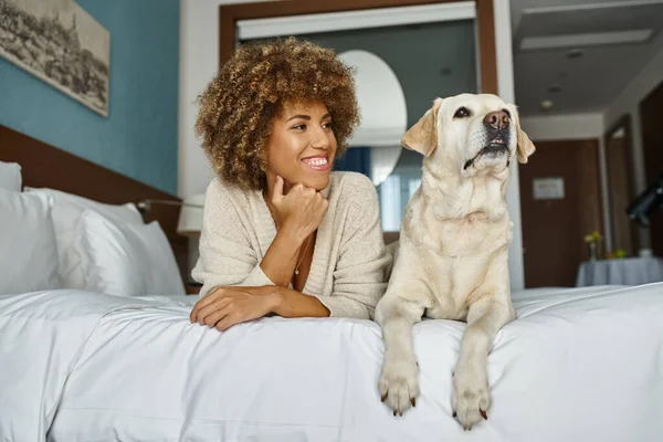 Mujer afroamericana alegre con su labrador acostado en una cama en un hotel que acepta mascotas, viajar - foto de stock