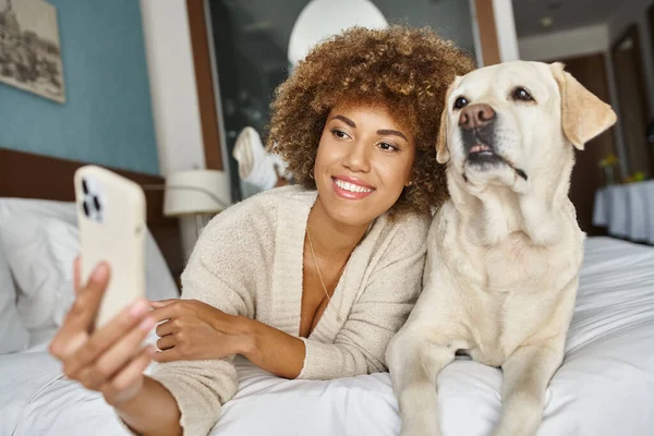 Positivo afro-americano donna prendendo selfie con labrador su un letto in una camera d'albergo pet-friendly — Foto stock
