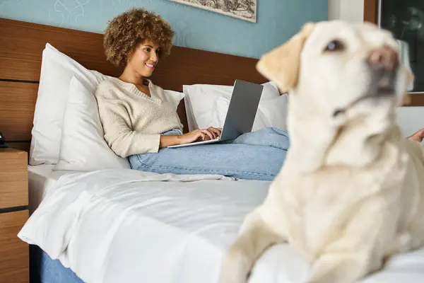 Heureuse jeune femme afro-américaine travaillant sur ordinateur portable avec son labrador sur le lit dans une chambre d'hôtel — Photo de stock