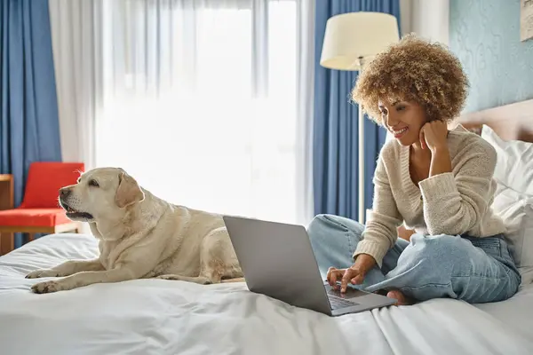 Joyeuse jeune femme afro-américaine travaillant sur ordinateur portable avec son labrador sur le lit dans une chambre d'hôtel — Photo de stock