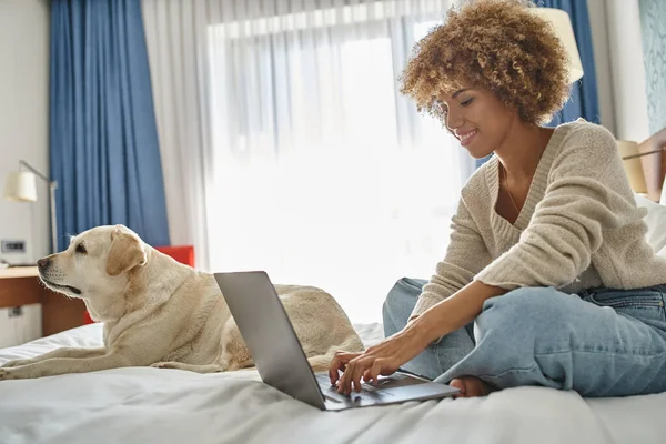 Весела молода афроамериканка працює на ноутбуці біля її лабрадору на ліжку в готельному номері — стокове фото