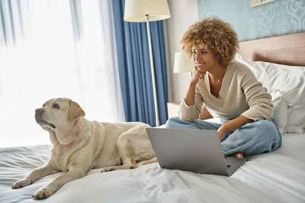 Positive jeune femme afro-américaine travaillant sur ordinateur portable près de son labrador sur le lit dans une chambre d'hôtel — Photo de stock