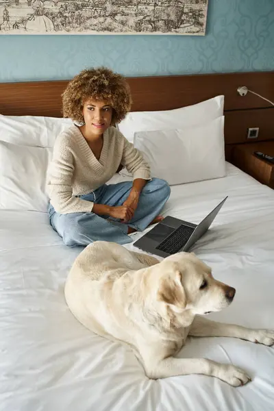 Мечтательная молодая африканская американка, сидящая на кровати рядом с лабрадором и ноутбуком в современном гостиничном номере — стоковое фото