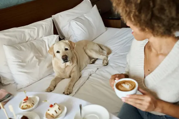 African american woman holding cappuccino and looking at her labrador dog in pet friendly hotel — Stock Photo