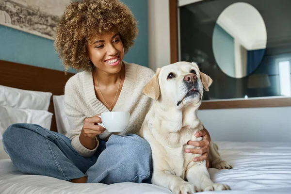 Mujer afroamericana feliz sosteniendo una taza de café y abrazando a su labrador en un hotel que acepta mascotas - foto de stock