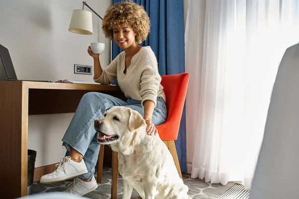 Mujer afroamericana feliz disfruta del café y trabaja cerca de su labrador en un hotel que acepta mascotas - foto de stock