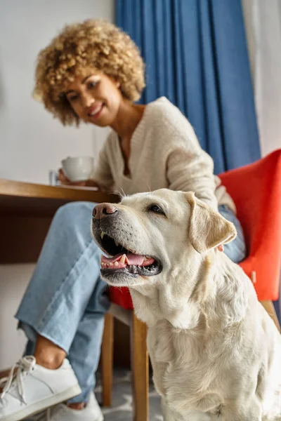 Glückliche afrikanisch-amerikanische Frau genießt Kaffee in der Nähe von Hund in einem haustierfreundlichen Hotel, Fokus auf Labrador — Stockfoto