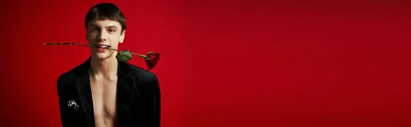 Romantic young man in velvet jacket holding rose in teeth and smiling on red background, banner — Stock Photo
