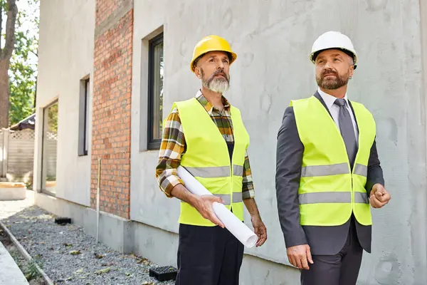 Dedicated bearded cottage builder and architect with blueprint discussing construction process — Stock Photo