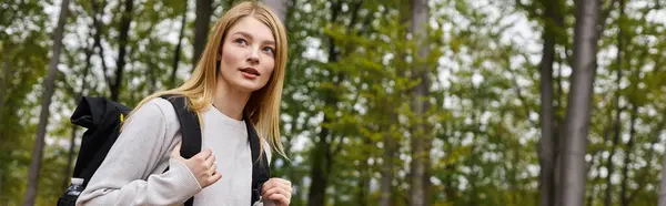 Banner einer neugierigen blonden Frau mit Rucksack, Pullover und Blick durch den Wald — Stockfoto