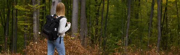 Vista posteriore della donna bionda avventuriera che cammina attraverso la foresta alla scoperta di nuovi sentieri, banner — Foto stock