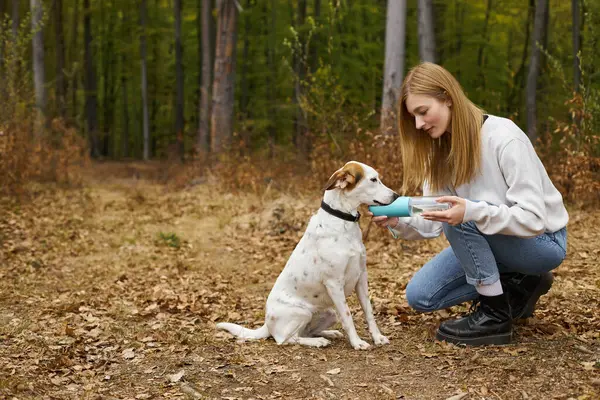 Amando a la propietaria del perro teniendo un paseo con el perro y dando agua a su mascota mientras camina en el bosque - foto de stock