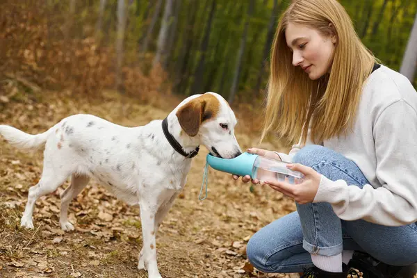 Amante mujer rubia excursionista dejando a su leal perro beber agua de la botella en el entorno del bosque - foto de stock