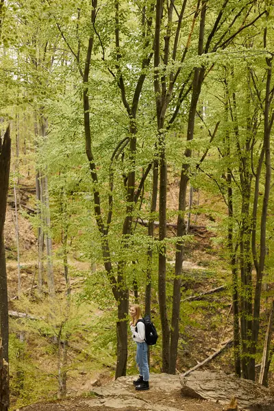 Vista dall'alto della donna bionda avventuriera in maglione accogliente e jeans che indossa lo zaino, in piedi nella foresta — Foto stock