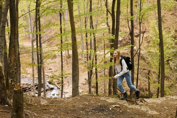 Entusiasta rubia en el bosque vistiendo suéter y jeans, corriendo y explorando vista panorámica - foto de stock