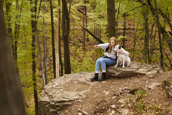 Aventurera rubia devota mostrando a su curioso perro una dirección sentada en la roca en el bosque - foto de stock