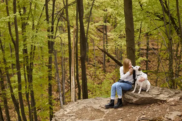 Mujer rubia tierna y su perro abrazándose en el bosque, vinculándose mientras está sentado en la parada de descanso - foto de stock