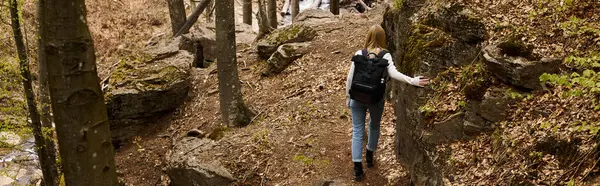 Вид ззаду молода блондинка-мандрівник в рюкзаку, що тримає дерева біля лісової річки, банер — стокове фото