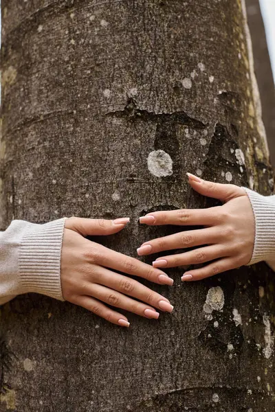 Cropped image of female hands hugging tree gently at hiking trip in beautiful forest, nature — Stock Photo