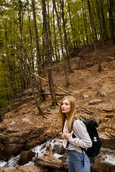 Turista mujer con mochila de pie en el sendero en el bosque senderismo en otoño bosque - foto de stock