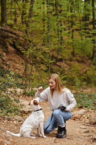 Beautiful female blonde woman sitting in forest with dog and looking at each other while training — Stock Photo