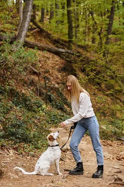 Happy girl interact with her pet holding leash at hiking rest with mountain and forest view — Stock Photo