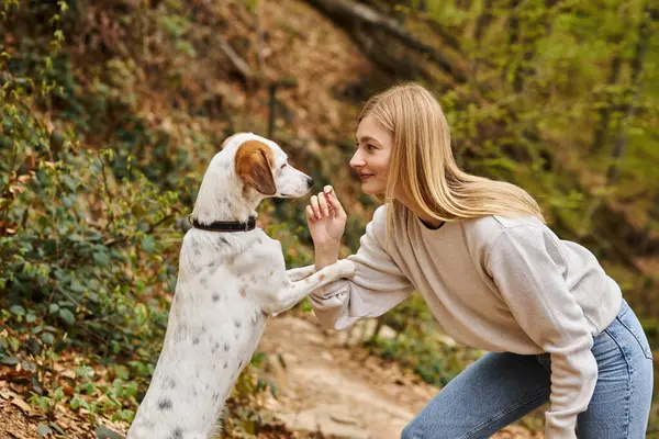 Mujer alegre entrenando a su perro mascota sosteniendo la correa en el descanso de senderismo con vista a la montaña y al bosque - foto de stock