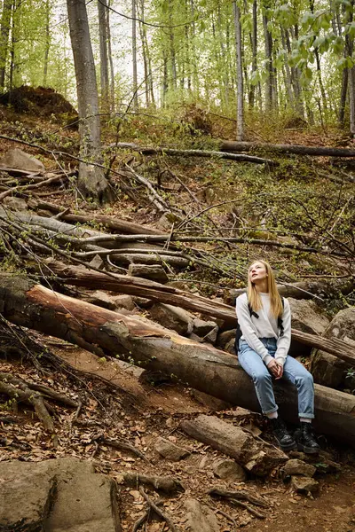 Joven mujer rubia excursionista descansando durante el trekking, aventura, joven mujer descansando en el bosque - foto de stock