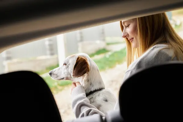 Cute dog sitting with beautiful female blonde woman in car looking away while riding — Stock Photo