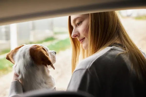 Hermosa mujer rubia sentada con lindo perro en el coche mirándose durante el viaje - foto de stock