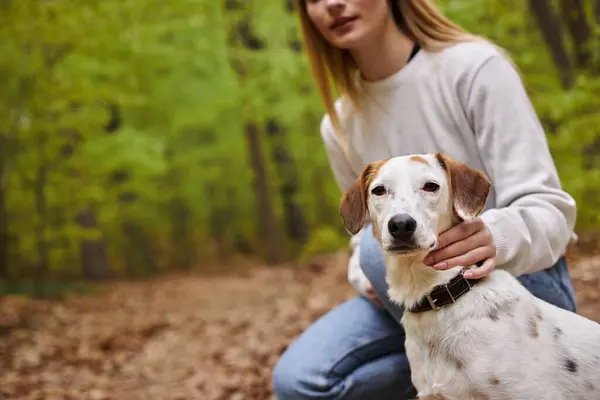 Фото счастливой милой собаки, смотрящей в камеру, сидящей в лесу с молодой девушкой во время похода — стоковое фото